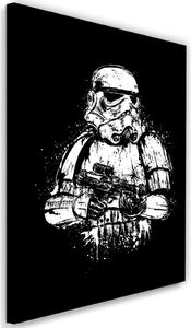Obraz na plátne Star Wars, Starship Trooper - Dr.Monekers Rozmery: 40 x 60 cm