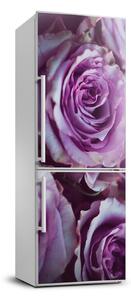 Nálepka fototapeta chladnička Fialové ruže