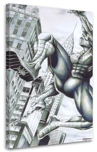 Obraz na plátne Spider-Man na budovách - Saqman Rozmery: 40 x 60 cm