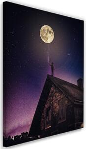Obraz na plátne Dobrú noc, mesiac - Rokibul Hasan Rozmery: 40 x 60 cm