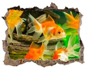 Díra 3D foto tapeta nálepka Zlatá rybka nd-k-89540196