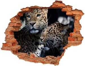 Fototapeta diera na stenu Dva leopardy nd-c-109930645