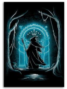Obraz na plátne Pán prsteňov, čarodejník v lese - DDJVigo Rozmery: 40 x 60 cm
