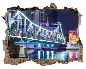 Fototapeta díra na zeď Shanghai bridge nd-k-117895767