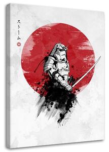 Obraz na plátne Samuraj a slnko - DDJVigo Rozmery: 40 x 60 cm