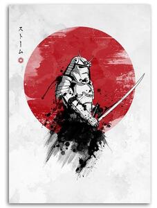 Obraz na plátne Samuraj a slnko - DDJVigo Rozmery: 40 x 60 cm