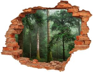 Fototapeta diera na stenu 3D Hmla v lese nd-c-95330664