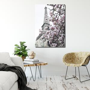 Obraz na plátne Eiffelova veža a magnólie - Dmitry Belov Rozmery: 40 x 60 cm