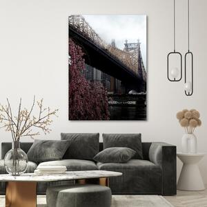 Obraz na plátne Ed Koch Queensboro Bridge - Dmitry Belov Rozmery: 40 x 60 cm