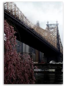 Obraz na plátne Ed Koch Queensboro Bridge - Dmitry Belov Rozmery: 40 x 60 cm