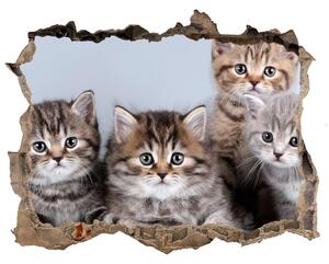 Díra 3D fototapeta nálepka Päť mačiek nd-k-75950374