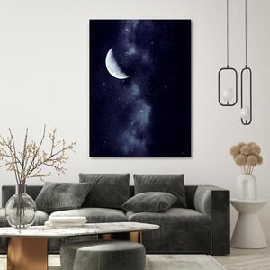 Obraz na plátne Hviezdna obloha - Dmitry Belov Rozmery: 40 x 60 cm