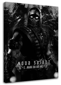 Obraz na plátne Hra Mortal Kombat Postava Noob Saibot - SyanArt Rozmery: 40 x 60 cm