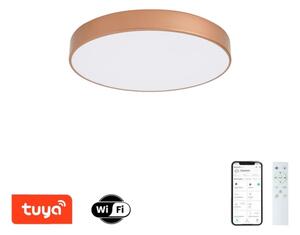 Brilagi-LED Stmievateľné svietidlo POOL SMART LED/60W/230V 50 cm Wi-Fi Tuya bronzový + diaľkový ovládač