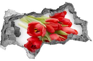 Samolepiaca diera na stenu Červené tulipány nd-b-99817079