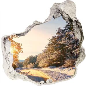 Diera 3D fototapety nálepka Cesty v lese v zime