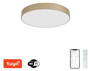 Brilagi-LED Stmievateľné svietidlo POOL SMART LED/60W/230V 50 cm Wi-Fi Tuya zlaté + diaľkový ovládač