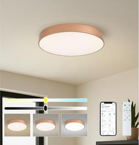 Brilagi-LED Stmievateľné svietidlo POOL SMART LED/60W/230V 50 cm Wi-Fi Tuya bronzový + diaľkový ovládač