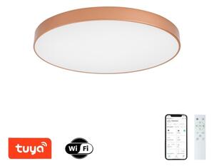 Brilagi-LED stmievateľné svietidlo POOL SMART LED/100W/230V 80 cm Wi-Fi Tuya bronz+ s diaľkovým ovládaním