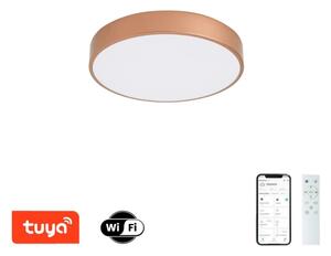 Brilagi-LED Stmievateľné svietidlo POOL SMART LED/48W/230V 40 cm Wi-Fi Tuya bronz + DO