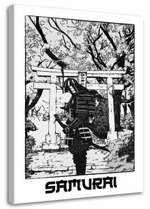 Obraz na plátne Čiernobiely samuraj v parku - Pau Fernandez Rozmery: 40 x 60 cm