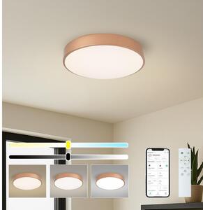 Brilagi-LED Stmievateľné svietidlo POOL SMART LED/48W/230V 40 cm Wi-Fi Tuya bronz + DO