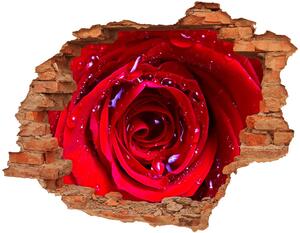 Samolepiaca diera na stenu Kvet ruže nd-c-100979783