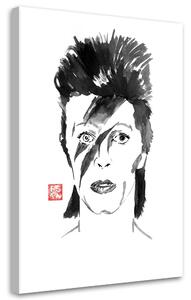 Obraz na plátne Portrét Davida Bowieho - Péchane Rozmery: 40 x 60 cm