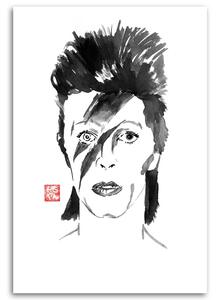 Obraz na plátne Portrét Davida Bowieho - Péchane Rozmery: 40 x 60 cm