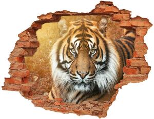 Fototapeta diera na stenu Tiger bengálsky nd-c-116603957