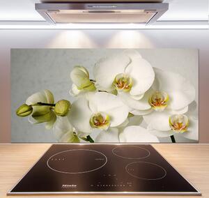 Panel do kuchyne Biela orchidea pl-pksh-120x60-f-67521473