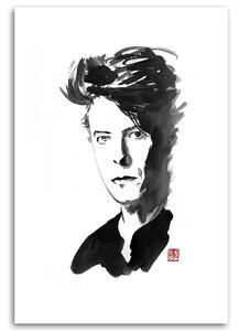 Obraz na plátne Spevák David Bowie - Péchane Rozmery: 40 x 60 cm