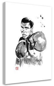 Obraz na plátne Muhammad Ali - Péchane Rozmery: 40 x 60 cm