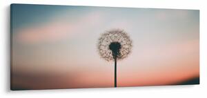 Obraz - Držím ťa, púpava (120x50 cm)