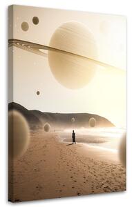 Obraz na plátne Tanec planét - Alex Griffith Rozmery: 40 x 60 cm