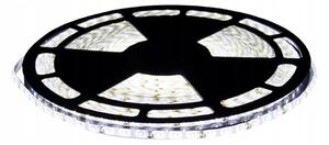 ECOLIGHT LED pásik - SMD 5050 - 50m - 14,4W/m - IP20 - studená biela