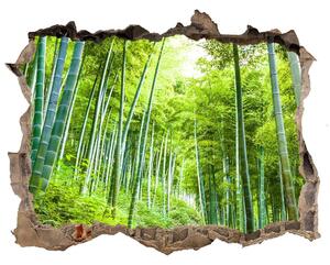 Nálepka fototapeta 3D výhled Bambusové lesy nd-k-60510509
