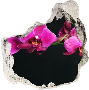 Samolepiaca diera na stenu Orchidea nd-p-64284743