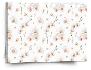 Sablio Obraz Biela orchidea - 150x110 cm