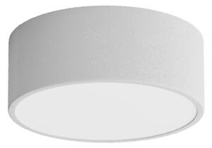 Kúpeľňové stropné svietidlo CLEO 1xE27/24W/230V pr. 20 cm šedá IP54