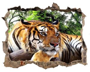 Díra 3D fototapeta na stěnu Tiger na skale nd-k-61968911