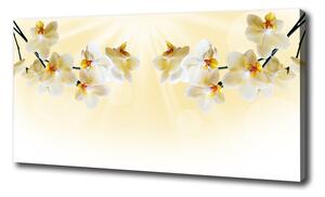 Foto obraz canvas Orchidea pl-oc-100x50-f-72852358