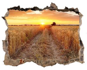 Nálepka fototapeta 3D výhled Pšeničné pole