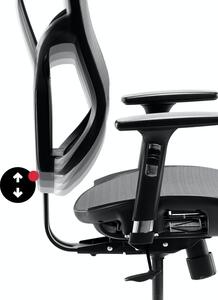 Kancelárska ergonomická stolička DIABLO V-BASIC: čierno-šedá Diablochairs 4Q-ICAE-2HP8