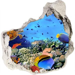 Fotoobraz diera na stenu nálepka Koralový útes