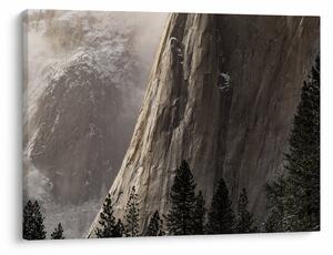 Obraz z údolia Yosemite národnej parku, USA (70x50 cm)