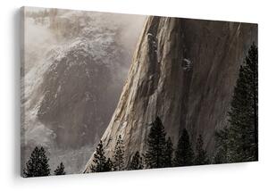 Obraz z údolia Yosemite národnej parku, USA (90x60 cm)