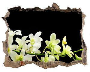 Samolepící nálepka fototapeta Orchidea nd-k-4005190