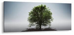 Obraz - Osamotený strom (120x50 cm)