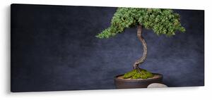 Obraz - Bonsai (120x50 cm)